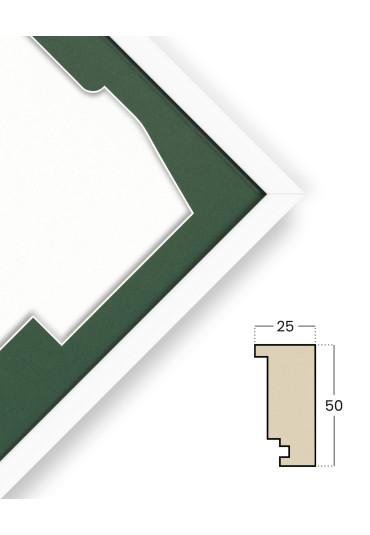 FTS Premium biała z oknem