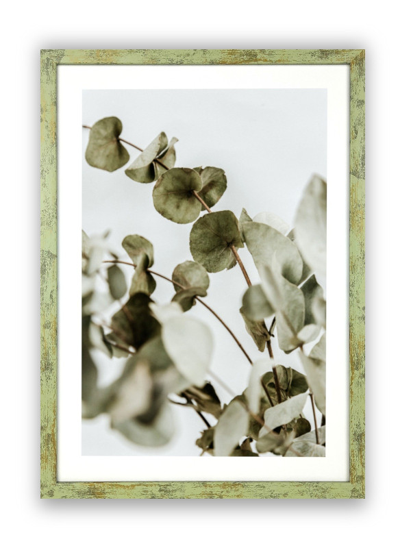 Ramka prosta California zielona