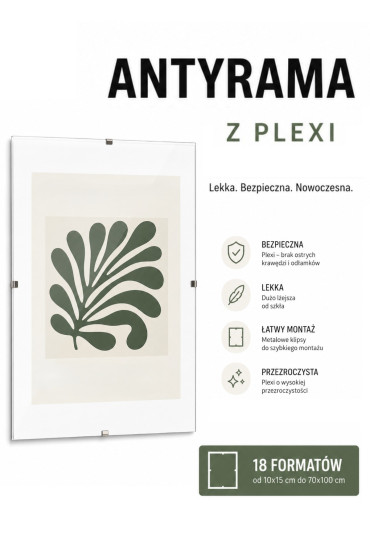 Antyrama Plexi 40x50 cm